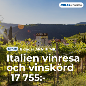 Italien vinresa och vinskörd