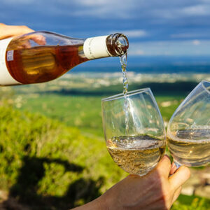 Vinresan genom Italien | Stockholm